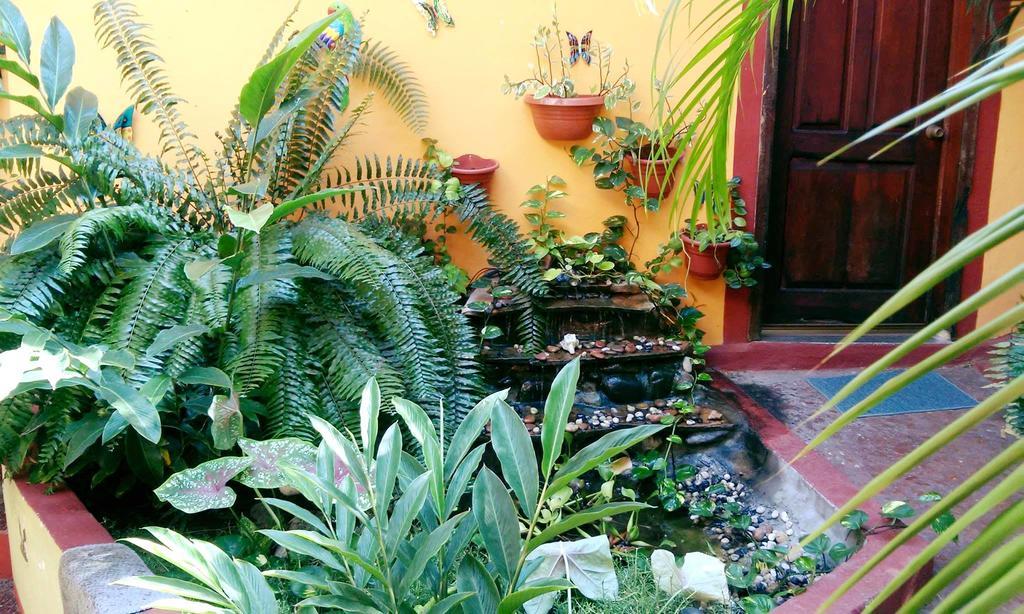Hotel La Cabana Puerto Ángel Esterno foto