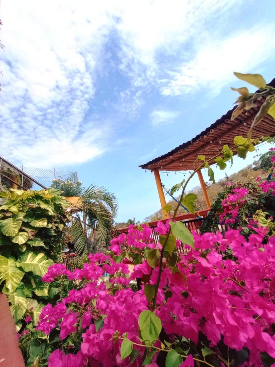 Hotel La Cabana Puerto Ángel Esterno foto