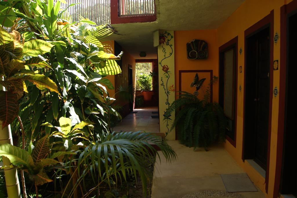 Hotel La Cabana Puerto Ángel Esterno foto